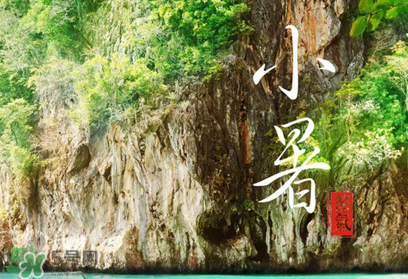 小暑是入伏嗎？小暑是不是入伏？