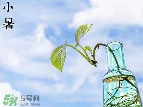 小暑是頭伏嗎？小暑是初伏嗎？