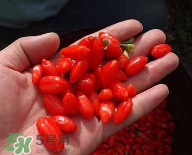 枸杞鮮果屬水果嗎？枸杞鮮果什么味道