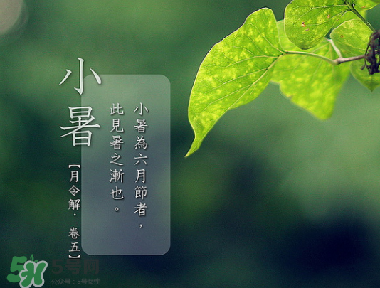 2017年小暑會下雨嗎？小暑這一天下雨好嗎？