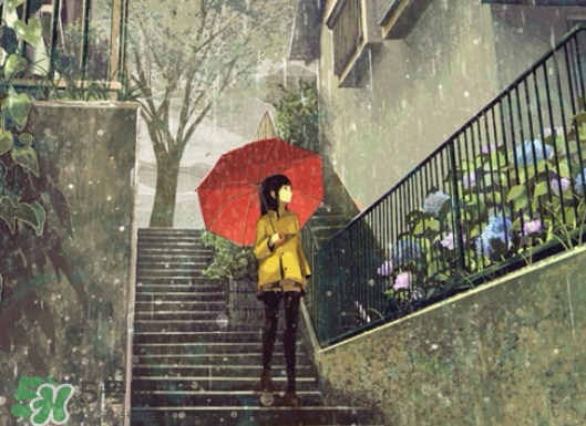 2017年小暑會下雨嗎？小暑這一天下雨好嗎？