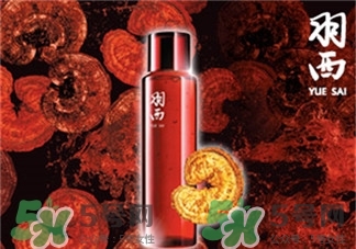 羽西生機之水靈芝調(diào)理液怎么樣?羽西生機之水靈芝調(diào)理液好嗎?