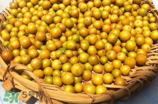 黃皮果是小金橘嗎？黃皮果和小金橘的區(qū)別