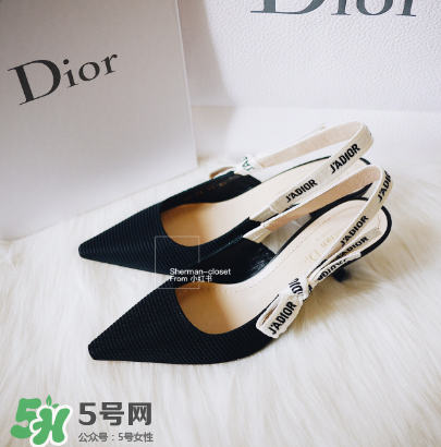 dior貓跟鞋多少錢？dior貓跟鞋價格