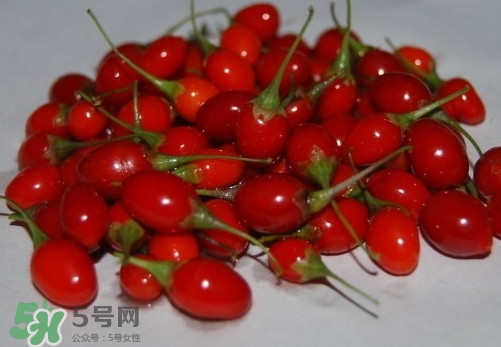 枸杞鮮果怎么吃？吃枸杞鮮果有什么好處