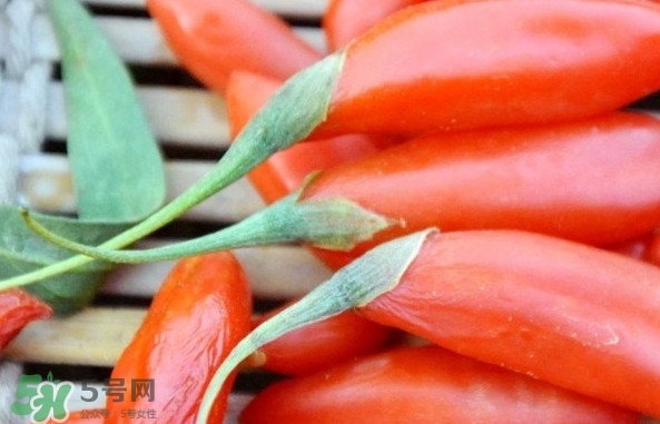 青海和寧夏枸杞哪個(gè)好？青海枸杞和寧夏枸杞的區(qū)別