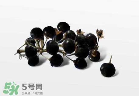 新鮮枸杞多少錢一斤？2017枸杞鮮果價格
