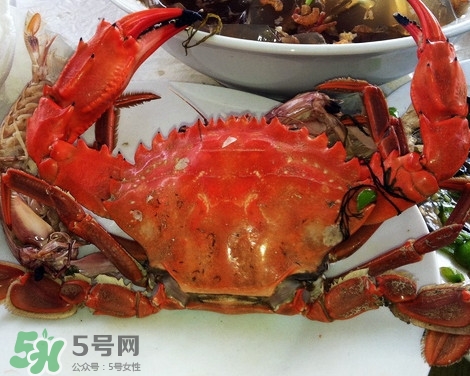 石夾紅螃蟹什么時(shí)候有？石夾紅螃蟹什么時(shí)候最肥