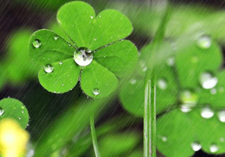 2017年小暑會下雨嗎？小暑這一天下雨好嗎？