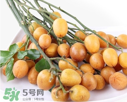 黃皮果是小金橘嗎？黃皮果和小金橘的區(qū)別