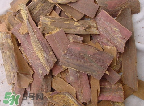 紅豆杉樹皮多少錢一斤？2017紅豆杉市場價