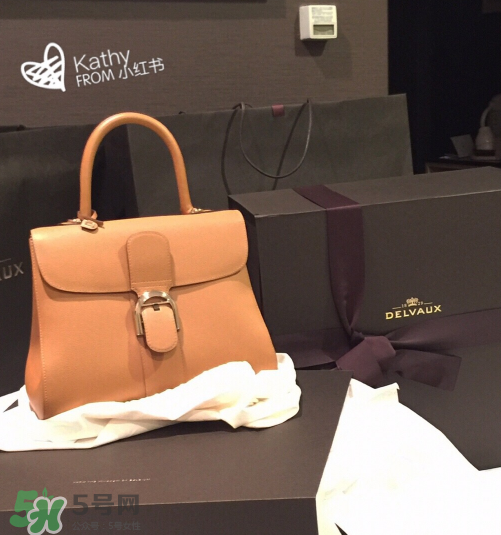 delvaux brilliant多少錢？德爾沃brilliant包包專柜價(jià)格