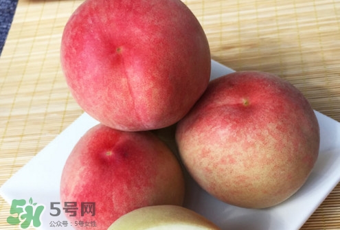 脆桃是什么品種？脆桃什么時候上市
