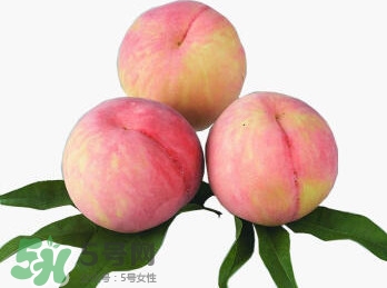 脆桃有什么營養(yǎng)？脆桃的營養(yǎng)價值