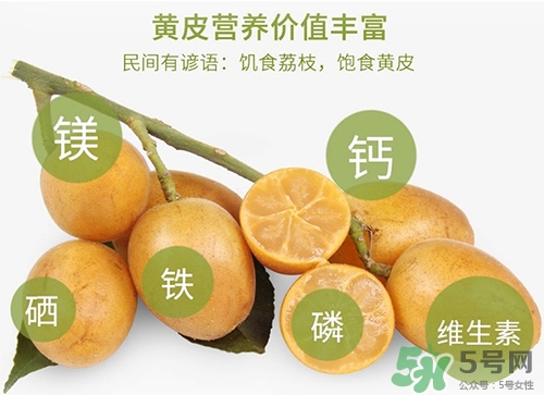 孕婦可以吃黃皮嗎？孕婦吃黃皮有什么好處