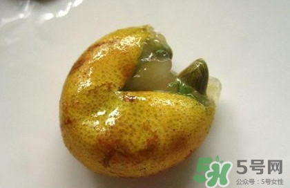 黃皮果核能治療什么??？黃皮核的功效與作用