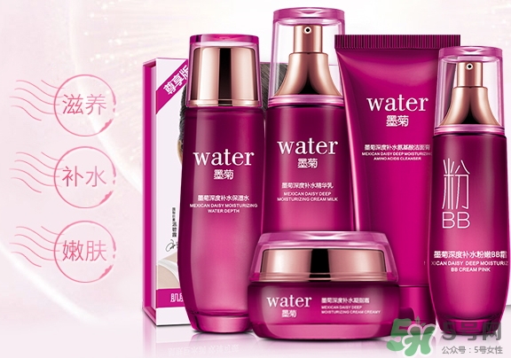 一枝春是什么牌子？一枝春化妝品怎么樣