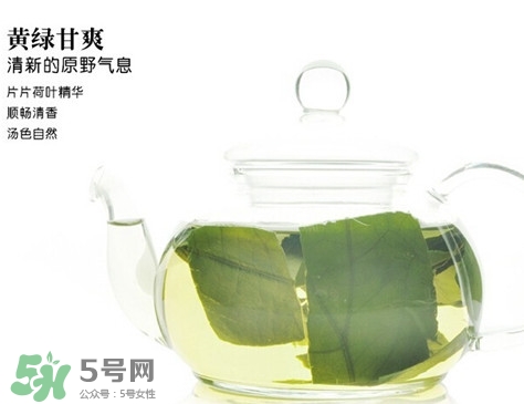 荷葉茶喝多久能減肥？荷葉茶有什么功效