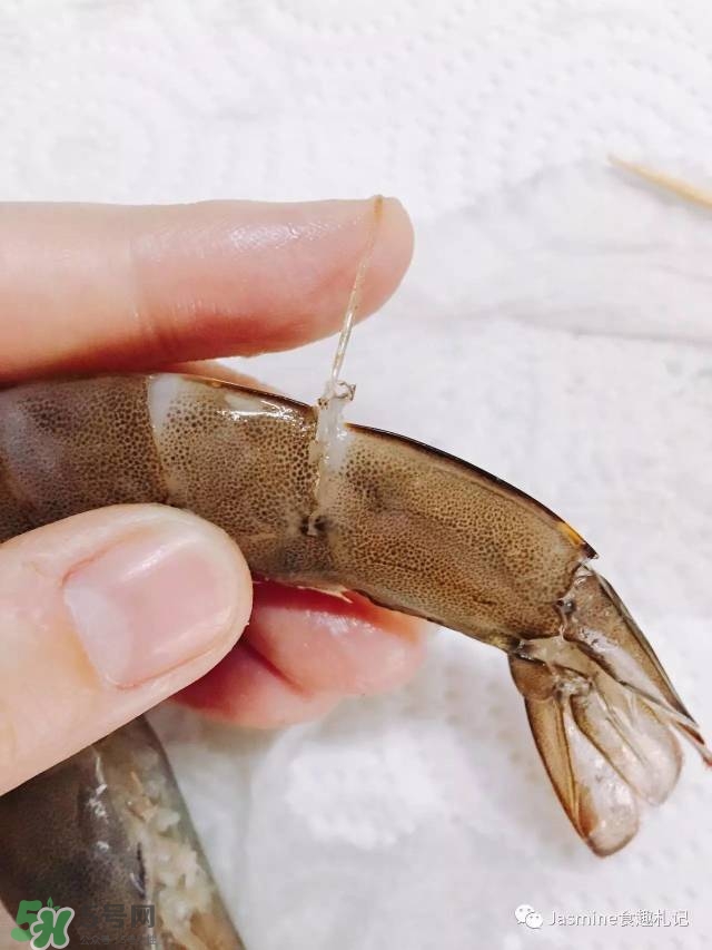活基圍蝦怎么保存？活基圍蝦怎么處理干凈？