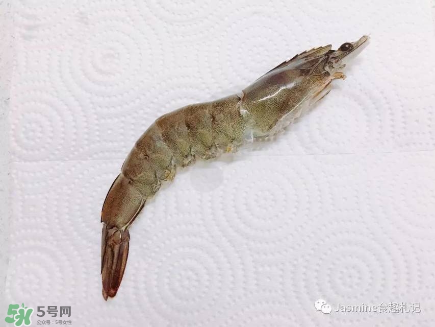 活基圍蝦怎么保存？活基圍蝦怎么處理干凈？