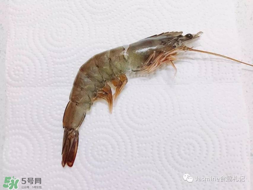 活基圍蝦怎么保存？活基圍蝦怎么處理干凈？