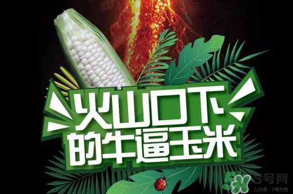 微玉冰糖玉米小孩可以吃嗎？微玉冰糖玉米營養(yǎng)豐富嗎？