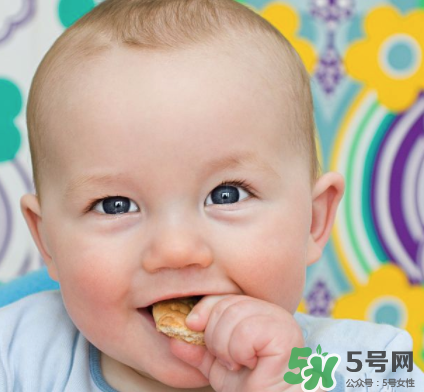 磨牙餅干吃不完怎么辦？磨牙餅干吃到多大？