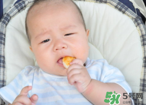 磨牙餅干吃不完怎么辦？磨牙餅干吃到多大？