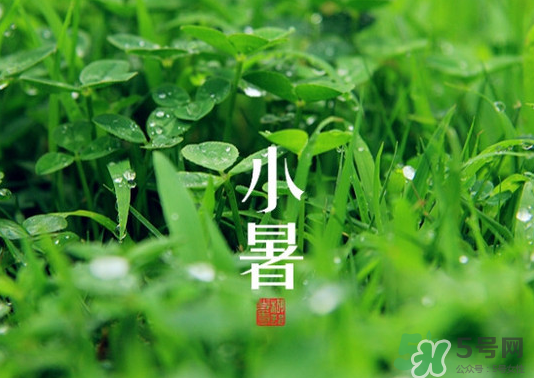 小暑種什么菜？小暑為什么要種牽?；?？