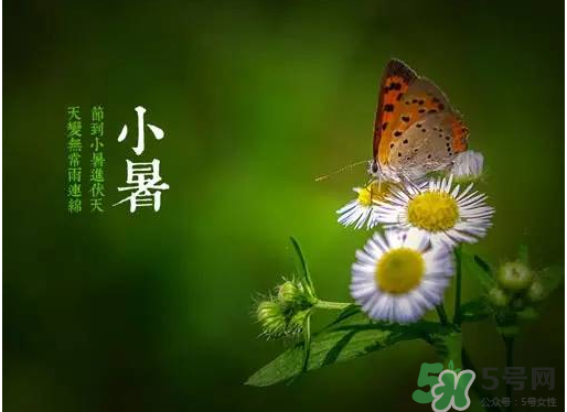 小暑種什么菜？小暑為什么要種牽?；ǎ?></p><h3>小貼士</h3><p>這個月是苦瓜和絲瓜是生長旺盛時期，結(jié)瓜多，要注意追肥、整枝，提高雌瓜率。</p><p>1、夏冬瓜要注意整枝、追肥、蓋瓜草。</p><p>2、清潔田園，堆制培養(yǎng)土。</p><p>清除菜園作物的殘枝、病葉，將其曬干燒毀、滅菌、滅蟲。</p><p>培養(yǎng)土用豬糞、牛糞或家禽糞、渣肥、園土各1/3堆制，加1%過磷酸鈣，1%生石灰拌勻封嚴(yán)堆制。</p> </div>
<div align=
