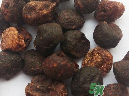 山黃皮的功效是什么？山黃皮的功效與作用