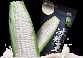 微玉冰糖玉米可以生吃嗎？微玉冰糖玉米安全嗎？