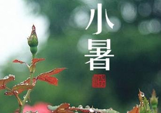 小暑種什么菜？小暑為什么要種牽牛花？