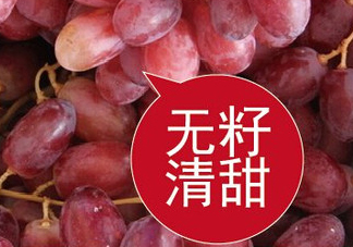 ?無籽紅提?孕婦能吃嗎吃嗎？孕婦能不能吃無籽紅提？
