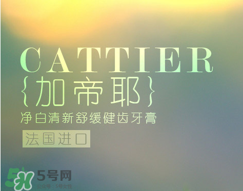 cattier加帝耶是什么牌子？法國cattier什么檔次？
