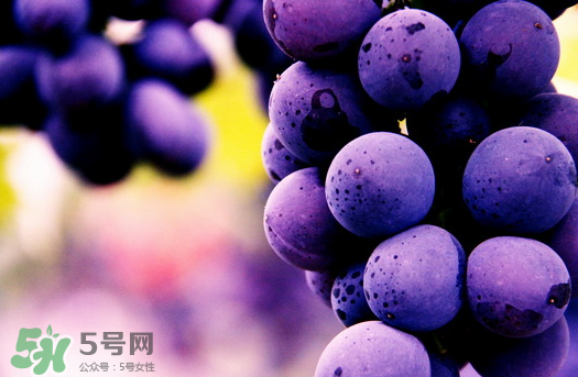 夏黑葡萄多少錢一斤？夏黑葡萄怎么挑選？