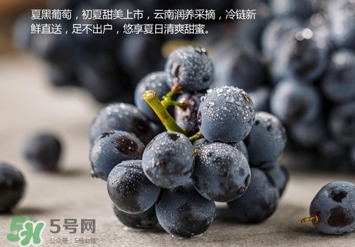 夏黑葡萄皮能吃嗎？夏黑葡萄怎么吃？