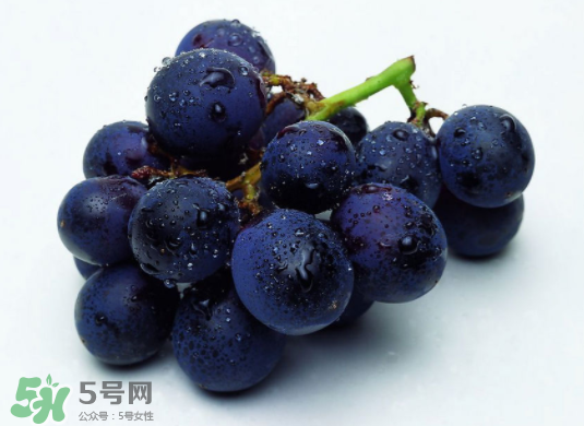 巨峰葡萄和葡萄有什么區(qū)別？巨峰葡萄是轉(zhuǎn)基因的嗎？
