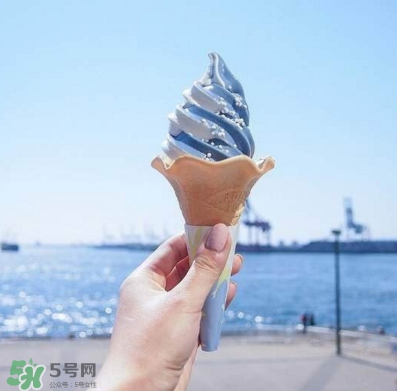 鯨鯊冰淇淋好吃嗎？鯨鯊冰淇淋多少錢？