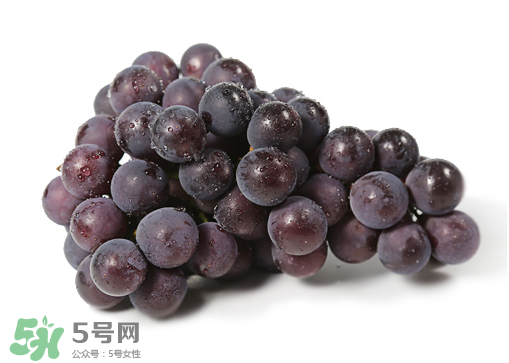 巨峰和夏黑哪個(gè)好吃？哪個(gè)貴？有什么區(qū)別？