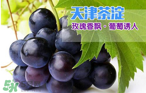 玫瑰香葡萄多少錢一斤？玫瑰香葡萄多少錢一斤2017？