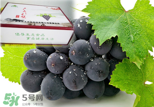 戶太八號葡萄什么時候套袋？戶太八號葡萄什么月份套袋？