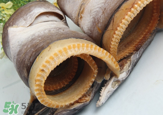 鰻魚干怎么保存最好？鰻魚干如何保存時(shí)間久