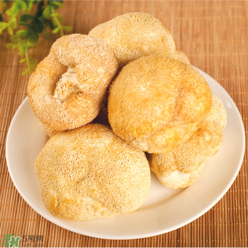 猴頭菇怎樣吃治胃?。亢镱^菇能治胃病嗎？