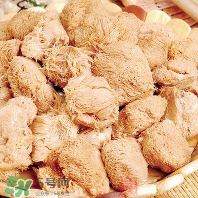 猴頭菇怎樣吃治胃病？猴頭菇能治胃病嗎？