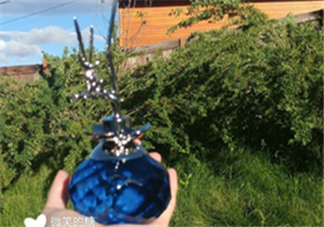 梵克雅寶夢(mèng)幻精靈香水好不好?梵克雅寶夢(mèng)幻精靈香水怎么樣?