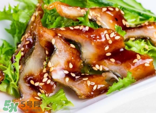 鰻魚是涼性的嗎？鰻魚是寒性食物嗎？