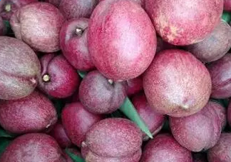 黑桃是什么水果？吃黑桃有什么好處？