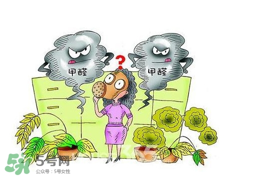甲醛怎么治理？除甲醛最有效方法