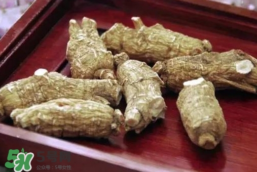 西洋參怎么吃效果最好？西洋參與人參的區(qū)別